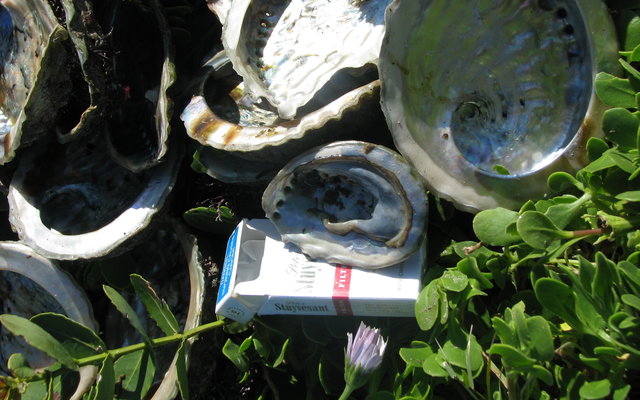 Gansbaai Perlemoendop Nie net ou asbakkie_1